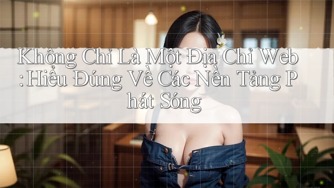 Không Chỉ Là Một Địa Chỉ Web: Hiểu Đúng Về Các Nền Tảng Phát Sóng Không Chỉ Là Một Địa Chỉ Web: Hiểu Đúng Về Các Nền Tảng Phát Sóng