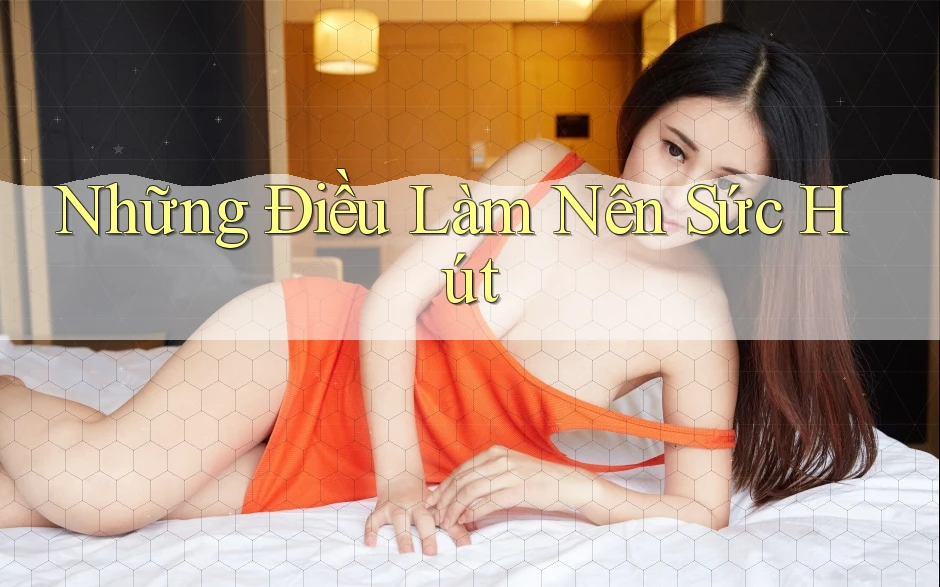 Những Điều Làm Nên Sức Hút Những Điều Làm Nên Sức Hút