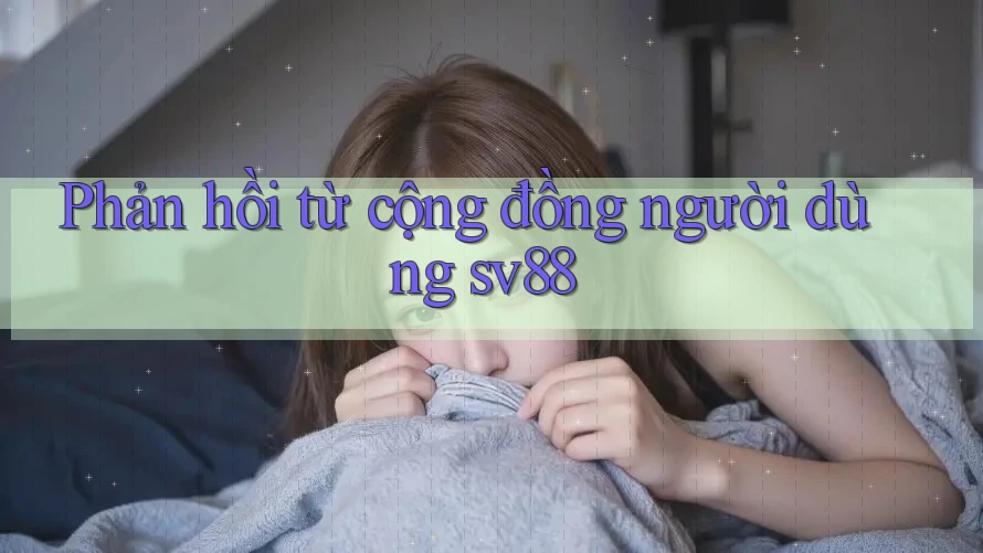 Phản hồi từ cộng đồng người dùng sv88