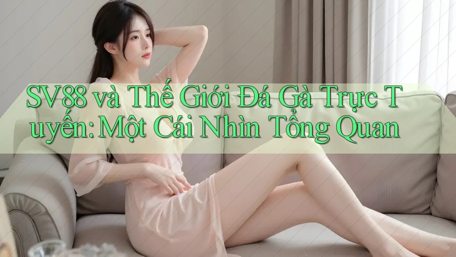 SV88 và Thế Giới Đá Gà Trực Tuyến: Một Cái Nhìn Tổng Quan SV88 và Thế Giới Đá Gà Trực Tuyến: Một Cái Nhìn Tổng Quan