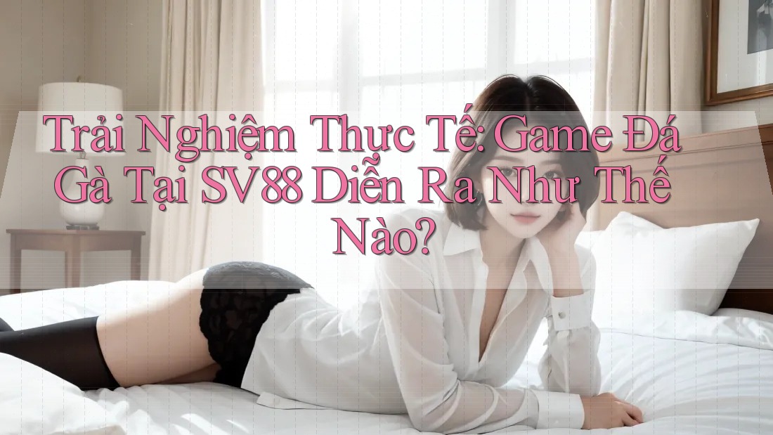 Trải Nghiệm Thực Tế: Game Đá Gà Tại SV88 Diễn Ra Như Thế Nào? Trải Nghiệm Thực Tế: Game Đá Gà Tại SV88 Diễn Ra Như Thế Nào?