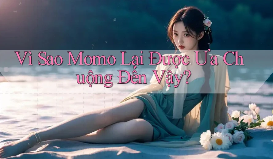 Vì Sao Momo Lại Được Ưa Chuộng Đến Vậy? Vì Sao Momo Lại Được Ưa Chuộng Đến Vậy?